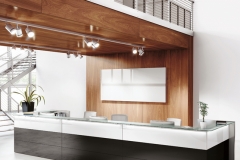 RECEPTION-NICE-NIC01